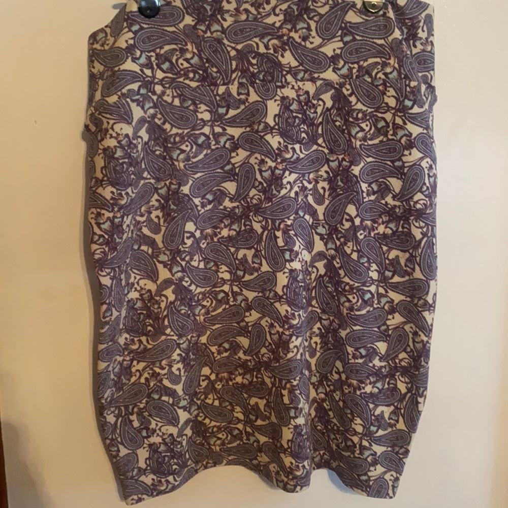 Lula Roe paisley skirt
